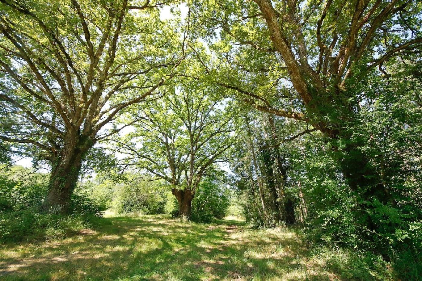 Domaine La Faix, La Chouette Camping *
